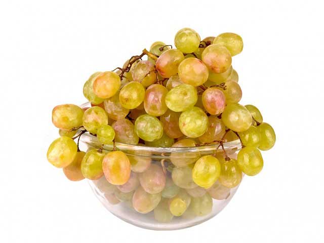 免费ddos攻击网页端